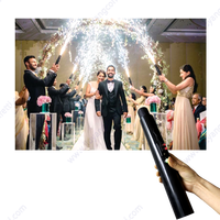 Système d'allumage de feux d'artifice de scène portatif en acier inoxydable réutilisable pour feux pyrotechniques froids, en stock entrepôt USA, pour Noël