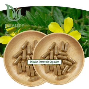 Premium 1000mg Tribulus Terrestris Cápsulas Extracto de vid de punción natural Suplemento para energía Vitalidad Alimentos certificados GMP - Product Image 2