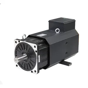 CE sertifikası Synmot 191N.m 1500rpm 30kW üç fazlı elektrik motoru 40HP AC Servo Motor