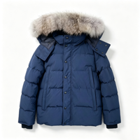 Manteau d'hiver chaud de style classique personnalisé de haute qualité, coupe-vent, parka pour homme, veste en duvet
