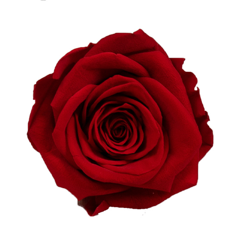 Chinese Red