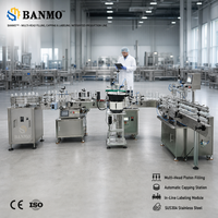 Línea de Llenado Automática Monobloque BANMO para Salsas y Condimentos con Pistón Servoaccionado para Garantizar una Precisión de ±0.5%