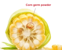 Molécule hydrolysée de poudre de peptide de collagène de protéine d'oligopeptide de germe de maïs jaune de zéine de catégorie comestible basse pour le supplément de soins de santé