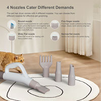Sèche-cheveux pour animaux de compagnie en plastique ABS rechargeable avec contrôle de vitesse progressif, 2 réglages de chaleur, 4 embouts, pour chats et chiens, utilisation en salle de bain