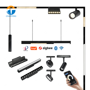Adjustable Led Lamp and Track Lights <strong>Factories</strong> <strong>Supplier</strong> Led 20 48V Magnetic Track Light Movable Aluminum Track Ceiling Lighting - Product Image 5