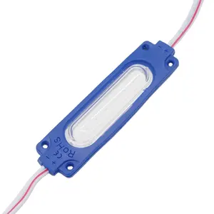 Lampu Biru DC 12V 24V Modul LED 2W Injeksi PVC IP65 Lensa Jernih 12V Lampu Latar 7019Mm 1 Kotak Iklan Modul COB