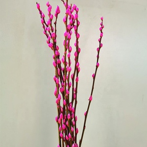 Offre Spéciale coloré préservé salix argyracea fleur véritable naturel préservé de saule pour la décoration du festival - Product Image 4