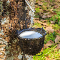 SYQT - Accesorios de Tiro con Tirachinas de Banda Elástica de Alta Resistencia y Potencia para Caza al Aire Libre, 2 m de Largo, para Mayores de 14 Años