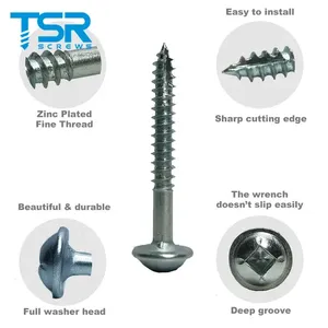 Vis autotaraudeuses Ruspert à tête cylindrique carrée, revêtement zinc, pour trous de poche dans le bois (Jig <span class=keywords><strong>Kreg</strong></span>) - Product Image 4