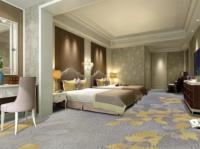 Hôtel de luxe cinq étoiles salon couloir chambre doux et confortable tapis tuftés tapis décorés