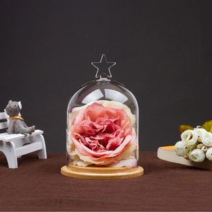 Vente en gros <span class=keywords><strong>de</strong></span> dôme en verre pour la décoration intérieure Couvercle en verre OEM <span class=keywords><strong>de</strong></span> cloche <span class=keywords><strong>de</strong></span> présentation dôme en verre Forever Flower dôme en verre avec base <span class=keywords><strong>de</strong></span> lumière LED - Product Image 3