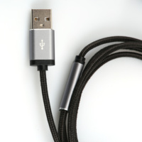 Kabel Data Tembaga Murni 2m Terlaris 3A Pengisian Cepat Tipe-C ke Tipe-C untuk Pengisian Daya Ponsel dan Transfer Data yang Efisien