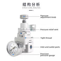 SHINYEE IR2000-02BG Régulateur de pression d'air haute précision Série IR Vanne de régulation pneumatique pour un contrôle industriel stable