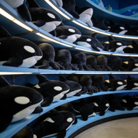 Jouets en peluche personnalisés doux et mignons, style anime, orca, baleine, pieuvre, animaux en peluche pour la décoration de la chambre des enfants