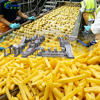 Shepody Complete Maker Plant Machine voor het maken van verse aardappelchips, 500 kg/uur productielijn voor aardappelchips/chips
