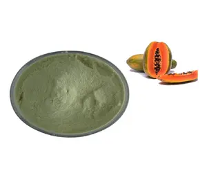 OEM & ODM & sfuso di alta qualità naturale estratto di Papaya a base di erbe in polvere
