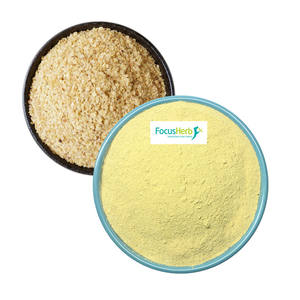 FocusHerb Natural Wheat Germ <b>Extract</b> Powder 1% Spermidine Food Grade Herbal <b>Extract</b> - Product Image 1