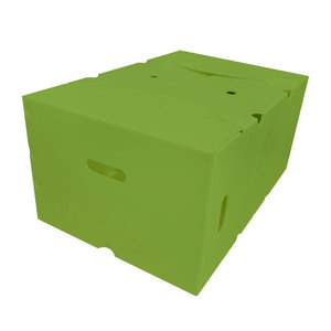 Bao bì hộp các nhà sản xuất PP rỗng hộp nhựa bao bì hộp biểu tượng tùy chỉnh - Product Image 4