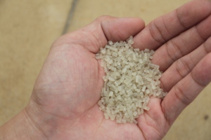 Granules EPS moyens recyclés blanc pur: solution matérielle durable et polyvalente, matière première de panneau de polystyrène extrudé - Product Image 5