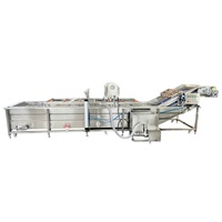 Laveuse à bande transporteuse à bulles d'air pour fruits, légumes, maïs, noix, machine de lavage et de séchage avec moteur, pompe et roulement, capacité 500-800 kg/h