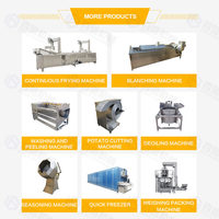Industriële automatische diepvries frites groente-chipslijn aardappelverwerkingsmachine 304 roestvrij staal 50-300kg/u