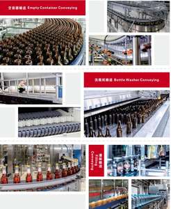 Cinta transportadora Peine Placa de transición Ingeniería Cadena de correa de malla plástica - Product Image 5