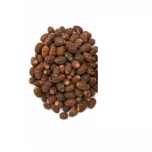 Extracto Herbal de Celastrus Paniculata en Polvo Secado por Aspersión, Ingrediente Botánico Natural con Calidad y Pureza Superior - Product Image 3