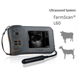 Portable ultrasons vétérinaire Bmv L60 test de grossesse animale Machine à ultrasons vétérinaire pour porc mouton bétail chèvre - Product Image 5
