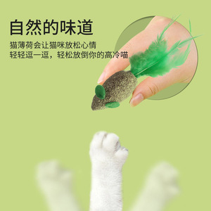 Jouet pour chat en forme de souris verte avec plume et herbe à chat, jouets à mâcher pour chats, fournitures pour animaux de compagnie - Product Image 2