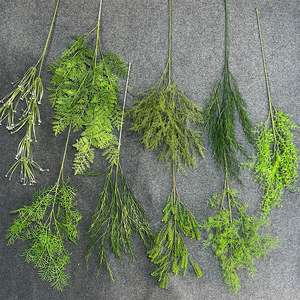 Plantes artificielles en forme de fougère, de corail et d'herbe verte, branches de 30 cm à 100 cm, décoration d'intérieur, décoration de mariage - Product Image 2