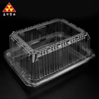 Vente en gros de fruits et légumes assiettes décoratives emballage de 10 pouces emballage alimentaire PET à emporter Hamburger Rectangle plateaux alimentaires