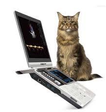 VINNO 6 Vet Portable Veterinary Color Doppler Ultrasound Machine Mobile Animal Ultrasound Scanner - Product Image 4