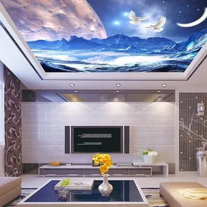 Guangzhou ihouse 3D landschap night view sterrenhemel ruimte planeet maan witte duif plafond muurschildering