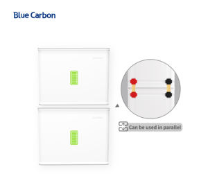 Blauwe Koolstof Zonne-6000 Cycli Lithiumbatterij 48V 51.2V 100ah Kan Worden Gebruikt In Parallel 5kwh Lithium Ion Batterijen Pack - Product Image 3