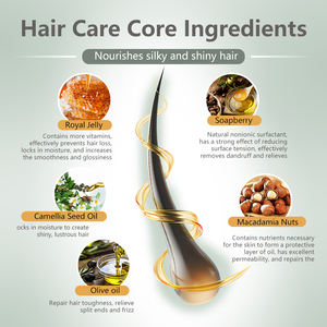 Marque privée 100% Shampooing et après-<span class=keywords><strong>shampoing</strong></span> réparateur à l'huile d'argan biologique végétalienne et anti-frisottis Ensemble - Product Image 2