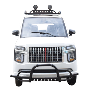 Chang Li High Quality 2 <strong>Seater</strong> Mini <strong>Electric</strong> <strong>Car</strong> Pickup Truck Automatic Small Pick up Trucks - Product Image 5