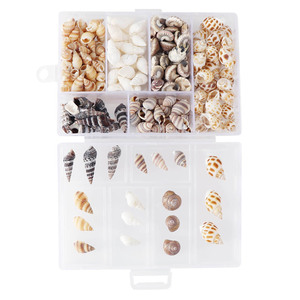 About 100Pcs/Box Natural Conch <strong>Shells</strong> Aquarium Landscape Seashells Crafts Decor Home Decoration DIY Craft Conch <strong>Shell</strong> Pendant - Product Image 6