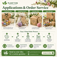 Kit de culture de Myosotis en gros avec bombe de semences et tablette de terreau pour boîte cadeau de jardinage e-commerce