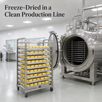 Trozos de Jaca Liofilizados OEM a Granel, Snack Saludable con Tecnología FD, Fruta Tropical, Fabricante Mayorista, Exportación