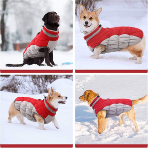 Vêtements d'hiver C076 pour chiens, résistants au vent et chauds, en coton rembourré, doublure polaire en polyester, rembourrage en duvet pour chats, protection pour Halloween - Product Image 5