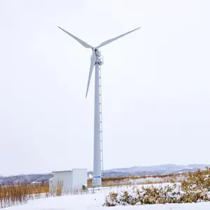 2023 nuevo diseño tipo de máquina 10Kw turbinas eólicas de techo Horizontal pequeños generadores para uso doméstico