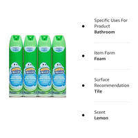 Spray Nettoyant WC Écologique en Aérosol Très Efficace – Élimine les Taches sur les Carreaux et les Toilettes, Désodorisant Urinoir Efficace