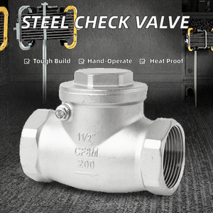 Válvula de Retención Manual de Acero Inoxidable de Alta Temperatura de 1 1/2'' BSP para Restricción de Flujo - Product Image 2