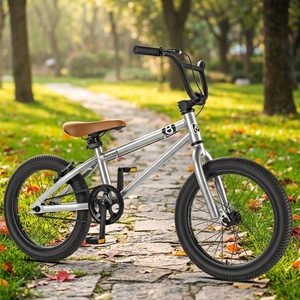 <span class=keywords><strong>Vélo</strong></span> BMX <span class=keywords><strong>20</strong></span> <span class=keywords><strong>Pouces</strong></span> / Fabrication à Bon Prix <span class=keywords><strong>Vélo</strong></span> BMX Freestyle <span class=keywords><strong>20</strong></span> <span class=keywords><strong>Pouces</strong></span> de Rue avec Frein V-Brake - Product Image 5