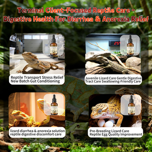 Probiotiques liquides BAC pour animaux de compagnie et reptiles OEM ODM – Soin digestif doux – Fournisseur en gros – Équilibre la <span class=keywords><strong>flore</strong></span> <span class=keywords><strong>intestinale</strong></span> - Product Image 5