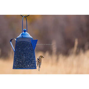 모든 금속 900g 용량 매달려 애완 동물 음식 그릇 커피 포트 메쉬 블루 아연 도금 스틸 정원에서 뒤뜰 새들이에 대 한 - Product Image 3