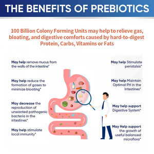 निजी लेबल कच्चे प्रोबायोटिक्स और पाचन एंजाइमों के साथ निजी लेबल कच्चे प्रोबायोटिक कैप्सूल पाचन क्रिया में सुधार करते हैं - Product Image 2