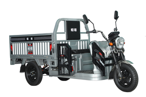 Fournisseur chinois Tricycle électrique avec corps ouvert 48V Cargo Tricycle Loader - Product Image 6