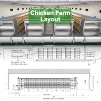 Cage à poulets de chair de type H à 4 niveaux, résistante à la corrosion, avec système de chauffage et d'éclairage automatiques, pour projet clé en main
