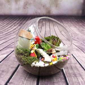 Plant <span class=keywords><strong>Terrarium</strong></span> Display Glas Tischplatte Sukkulente Luft Pflanze Pflanzer <span class=keywords><strong>Terrarium</strong></span> - Product Image 3